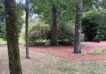 Landscaping
