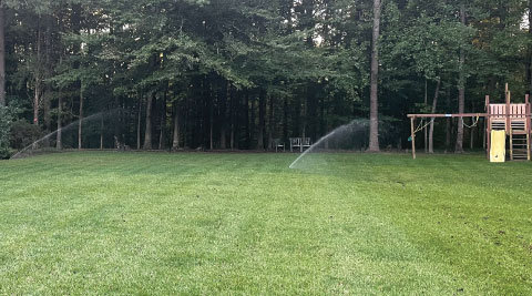 Irrigation services