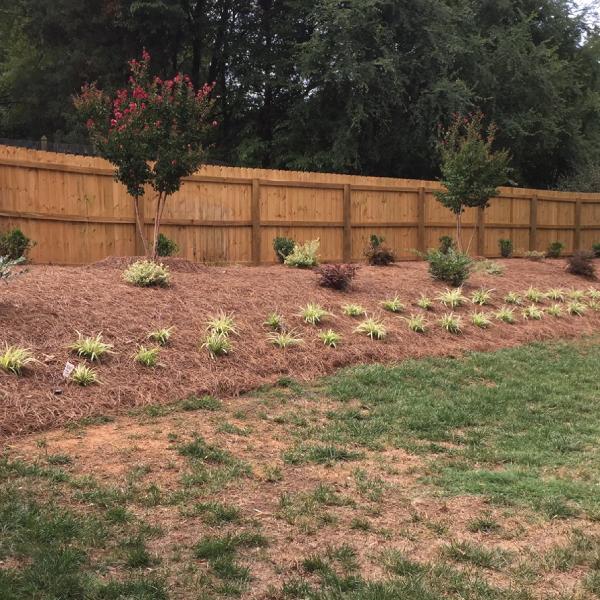 Backyard Landscaping on hill