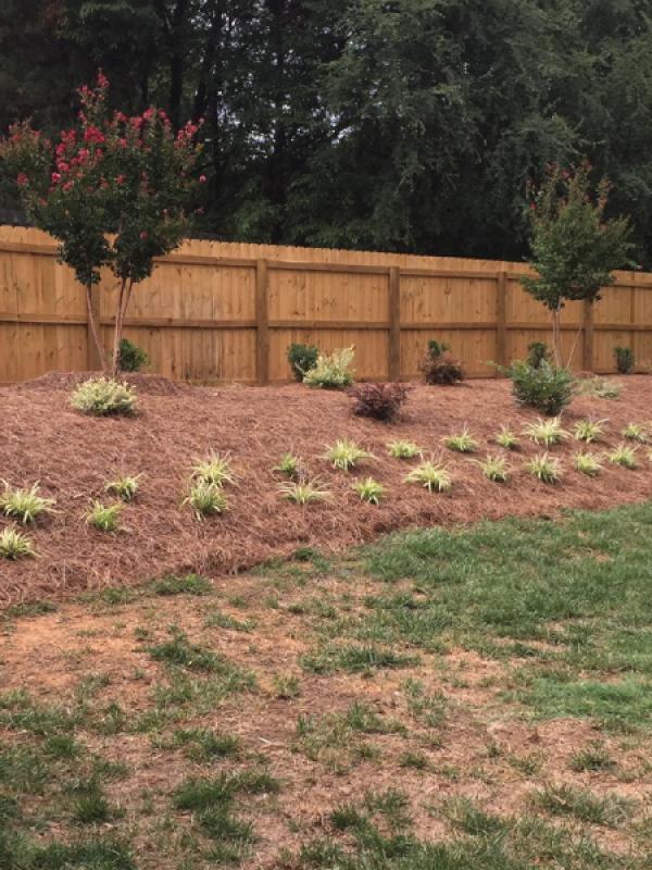 Backyard Landscaping on hill