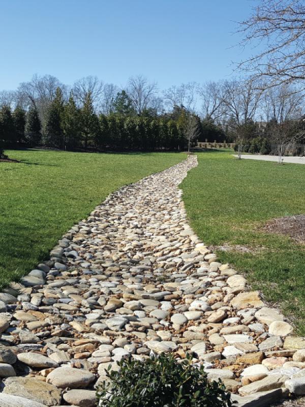 Common Area Drainage