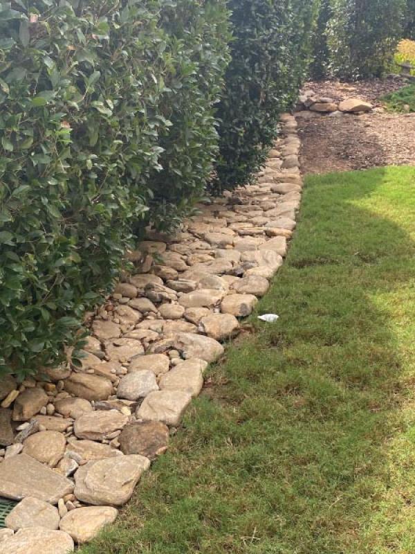 Drainage 25