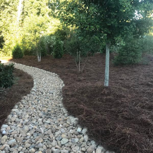 Rock Drainage with pine straw